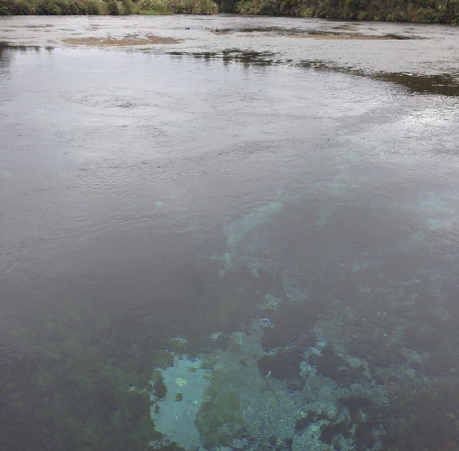 Te Waikoropupū Springs